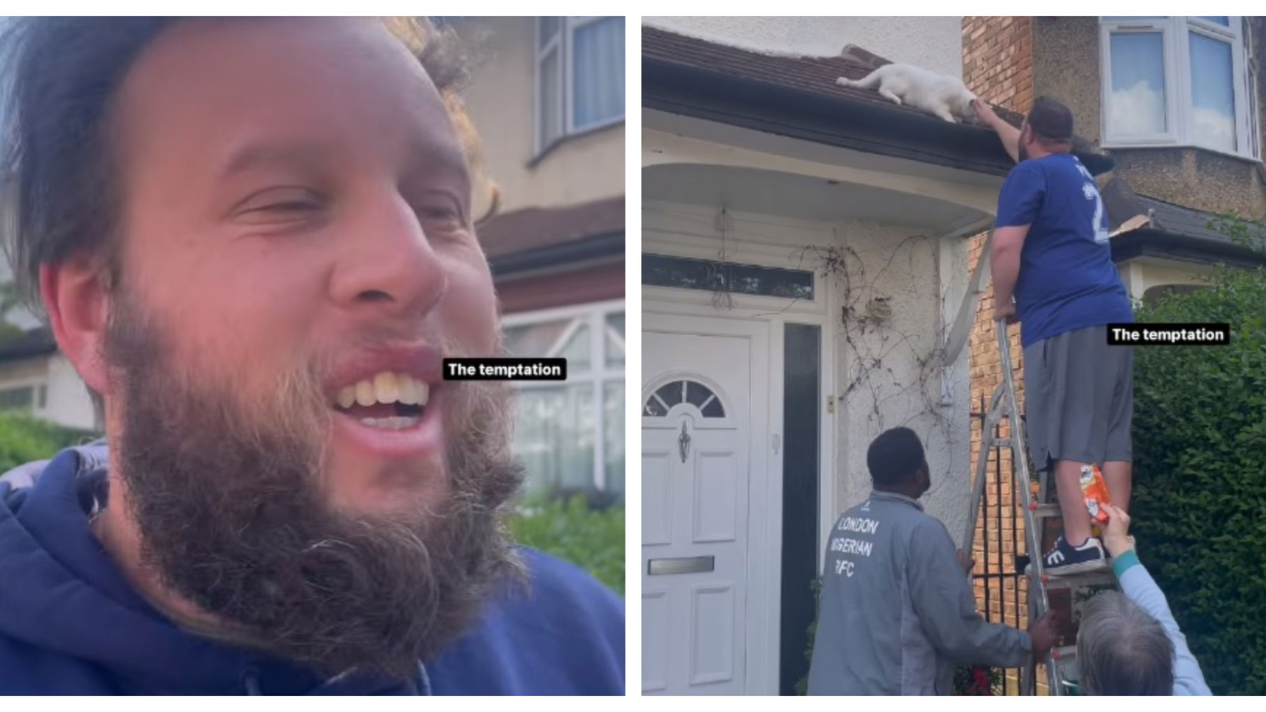 Andrew "Beef" Johnston cracks up at neighbourhood "drama" over stuck cat
